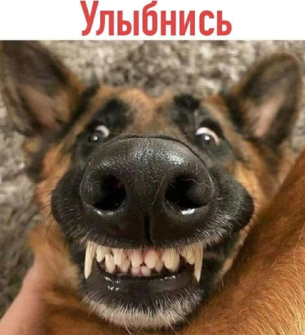 ***Victoria Viktorovna*** - 13  2022  11:34