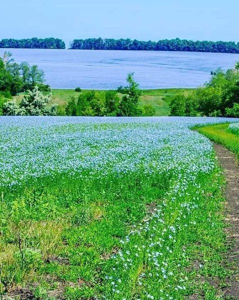 :) МОРЕ. После первого класса за буйство, двойки и мамкины слезы Сашку сослали к прабабке в гиблое ...