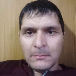 ���������, ������, 40 ���