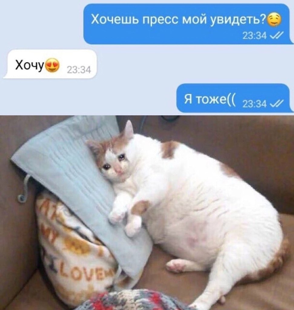 ☆ ☆ - 29  2023  13:16