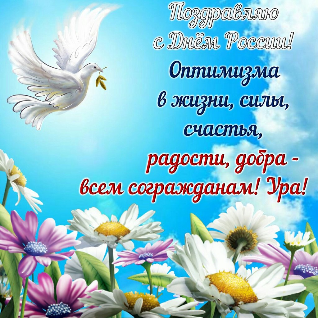   ,    . - 12  2022  08:41