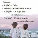 ���� ���, ��������, 52 ���� - ��������� 13 ������� 2022 � ������ ���� ����������