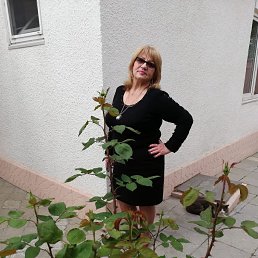 , 61, 