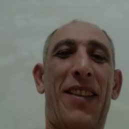 �����, ������, 68 ���