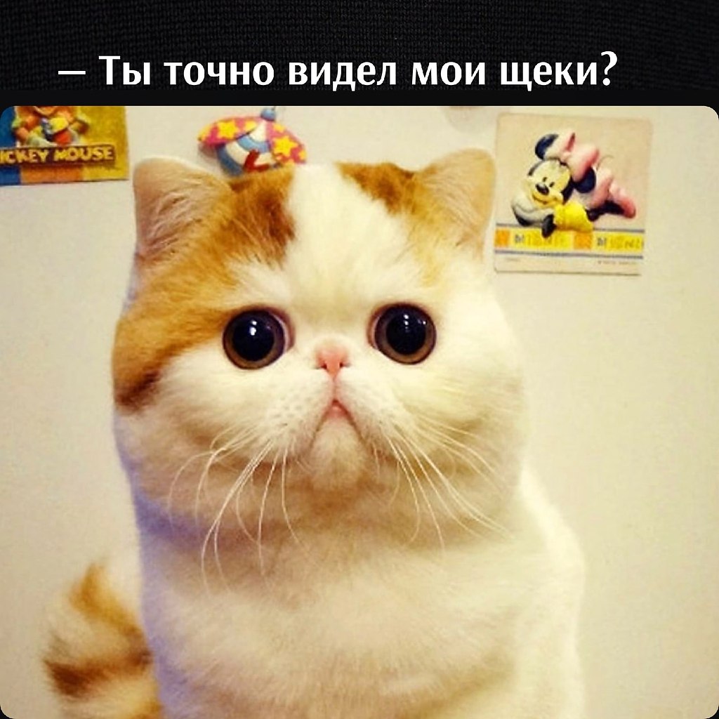       - 11  2022  11:10 - 4