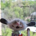 ���� ������, ������ - ��������� 19 ������� 2022 � ������ ���� ����������