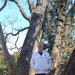 ���� ��������, ����, 51 ��� - ��������� 6 ������� 2022