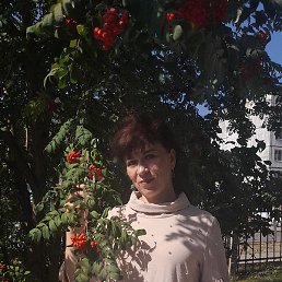 �������, �����������, 53 ����