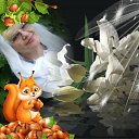 ���� �������, ��������, 68 ��� - ��������� 17 �������� 2022 � ������ ���� ����������