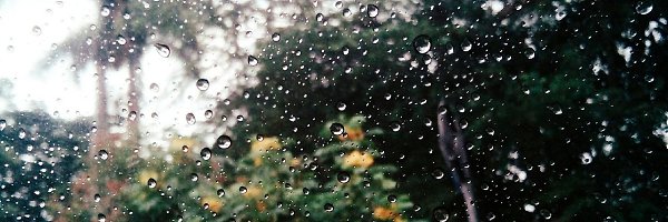 5 ЖИЗНЕННЫХ ИСТОРИЙ, КОТОРЫЕ ПЕРЕВЕРНУТ НАШЕ ПРИВЫЧНОЕ ОТНОШЕНИЕ К ЛЮДЯМ. 1. ЗНАЙТЕ ИМЯ УБОРЩИЦЫ ...