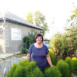 ����, �������, 71 ���