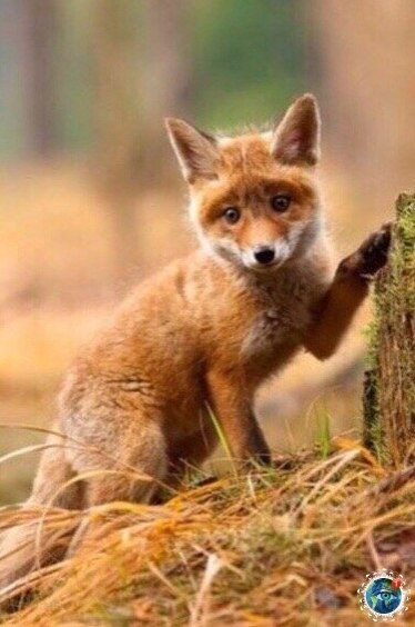 cea ec, a o o o e...    - 3