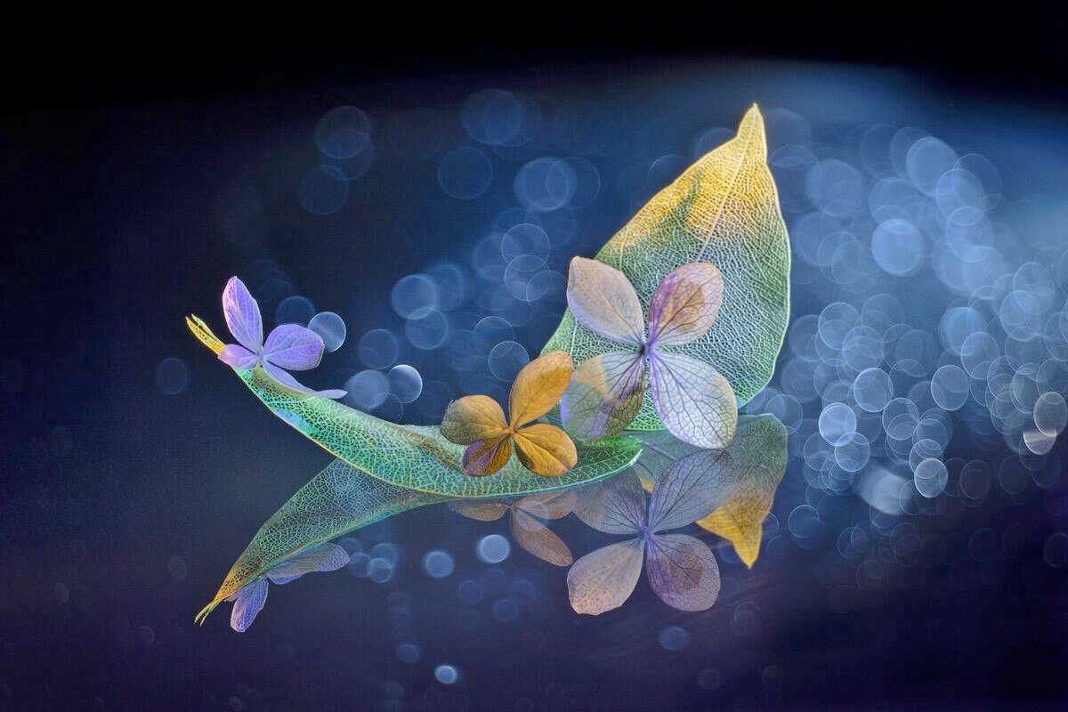 ",    ,       ... ") (.)