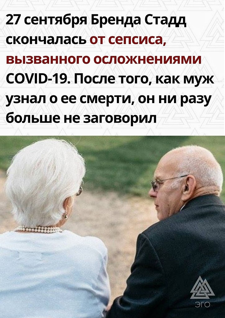  | ,  - 11  2022  10:15 - 3