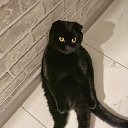 ���� �������, ��������, 60 ��� - ��������� 22 ������ 2023