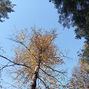 ���� �����, ���� - ��������� 10 ������� 2022 � ������ ���� ����������