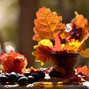���� Gulya, �������, 54 ���� - ��������� 27 ������� 2022 � ������ ������ ��������