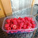 ���� Lisa, ��������, 52 ���� - ��������� 19 ������ 2022 � ������ ���� ����������