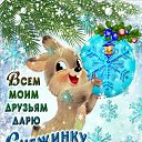 ���� Larisa ���� ���� 300, ��������, 63 ���� - ��������� 31 ������� 2022 � ������ ������ ��������