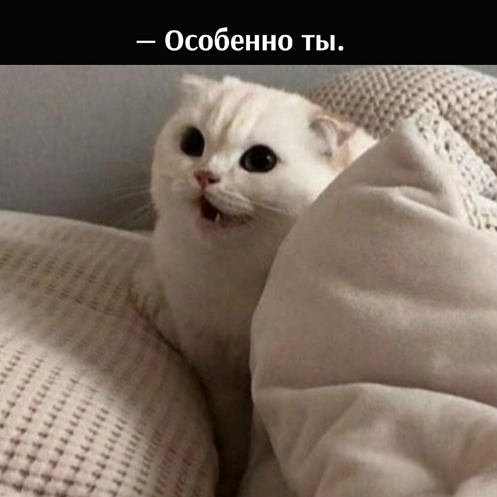       - 28  2022  10:33 - 3