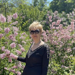 ������, �����������, 61 ���