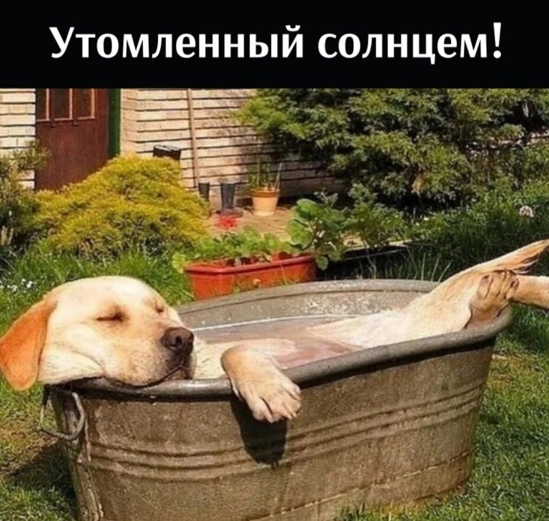 *T* - 15  2022  21:11