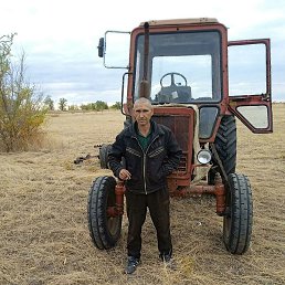 �������, ������, 46 ���