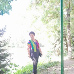 , 62, 