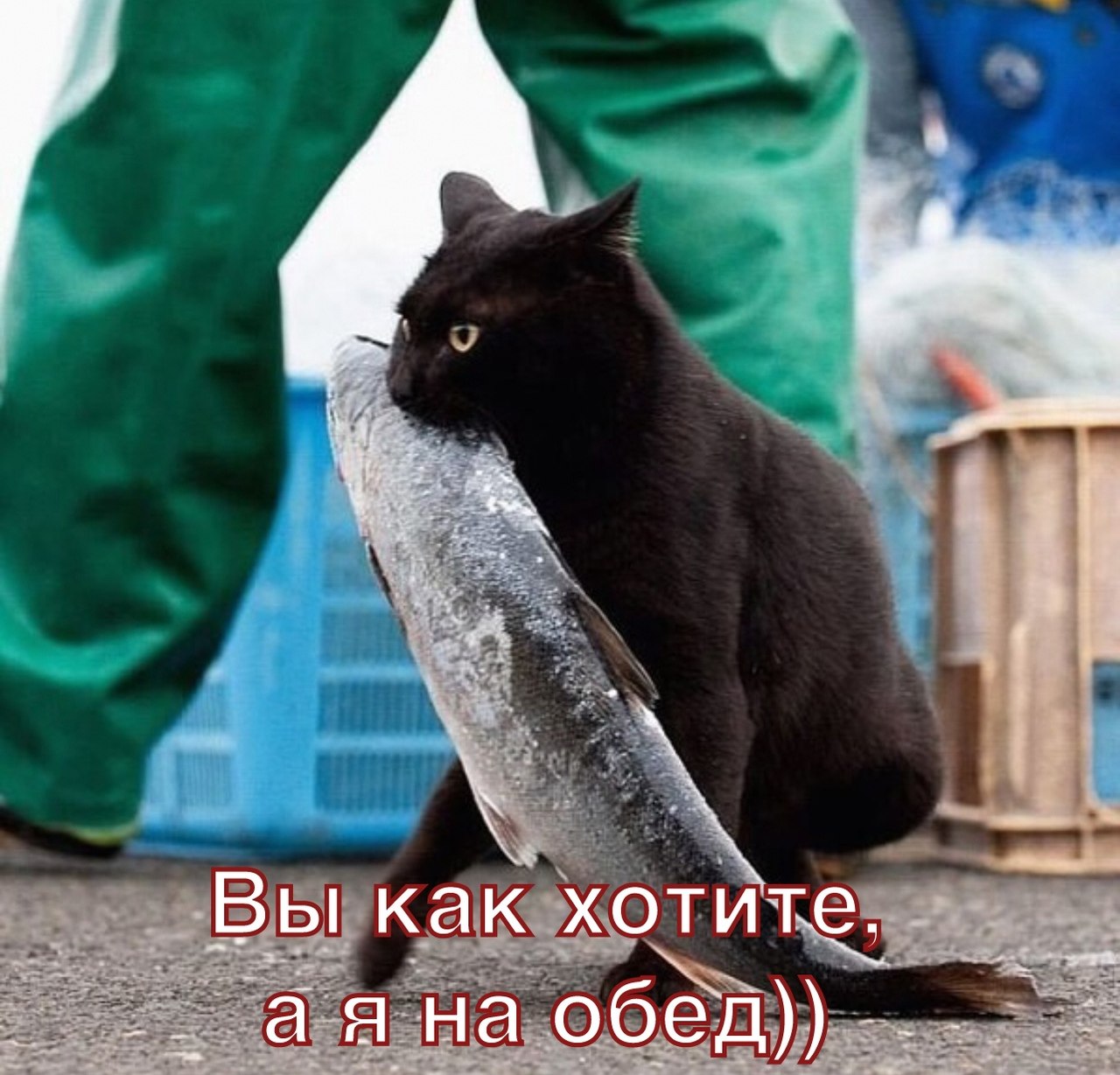  - 6  2022  21:58