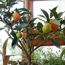 ���� ����, ��������, 45 ��� - ��������� 18 ������� 2023 � ������ ���� ����������