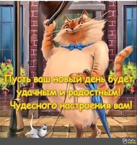   ! - 29  2022  06:58