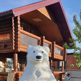 ���� ����, �����, 35 ��� - ��������� 18 ������ 2023