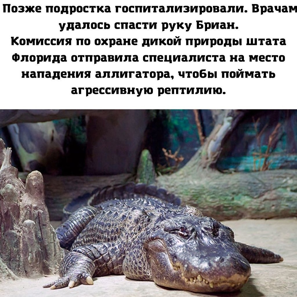 ,   ..).WORLD - 3