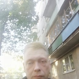  ,  , 51  -  8  2022