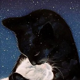 Cehty, ����������, 49 ���