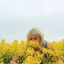 ���� ������, ����������� - ��������� 17 ������� 2022 � ������ ���� ����������