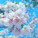 ���� �������🍒, �����, 51 ��� - ��������� 24 ���� 2022 � ������ ���� ����������