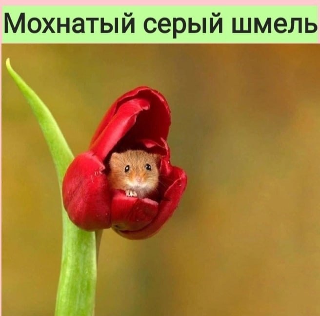   :D - 26  2022  10:51