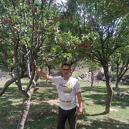 �����, ������, 42 ����