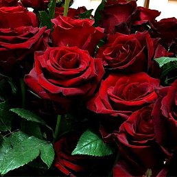 ���� ���������, ������, 55 ��� - ��������� 6 ������� 2023