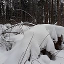 ���� �����, ������, 43 ���� - ��������� 13 ������� 2022 � ������ ���� ����������