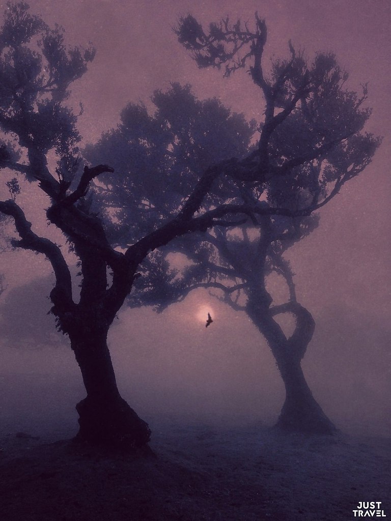 By Nona Limmn.#art #travel #world - 10