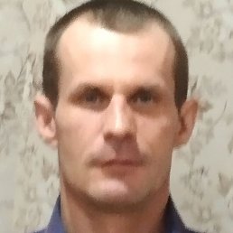 �����, ������, 41 ���