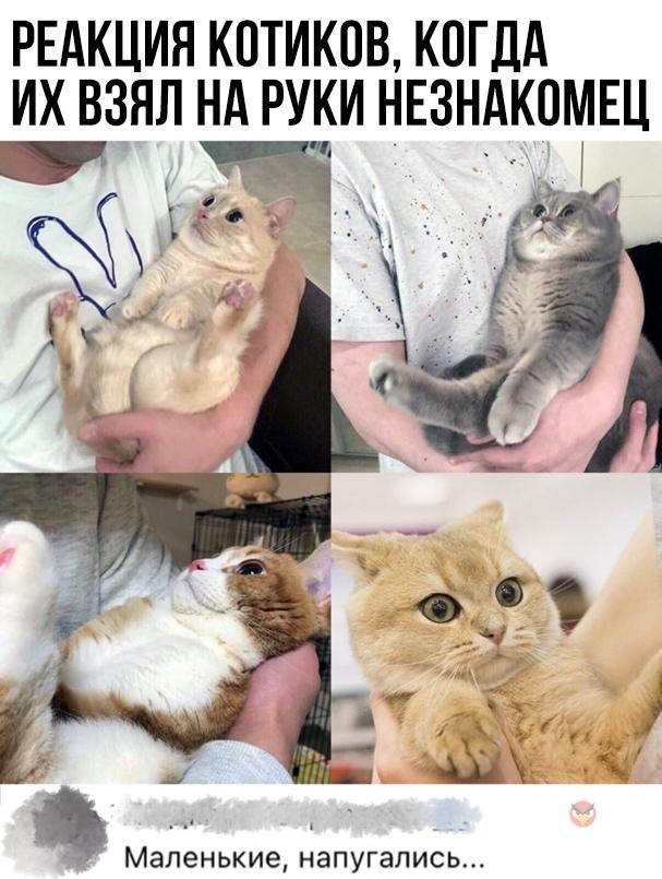   - 9  2022  06:13
