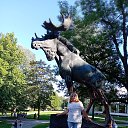  , , 56  -  29  2022   - 2022