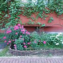 ���� ����, �����������, 64 ���� - ��������� 18 ���� 2022 � ������ ���������� � ���� 2022 �. .... )))�