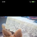 ���� ���� 19����67����., ������-��-����, 58 ��� - ��������� 11 ������ 2023 � ������ ���� ����������