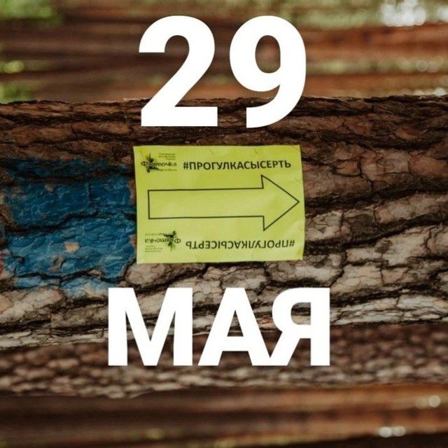 Vladimir  - 27  2022  13:29