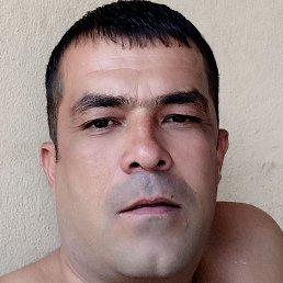 , , 41 