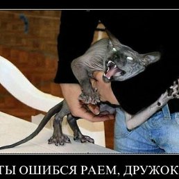 �������, ���������, 61 ���